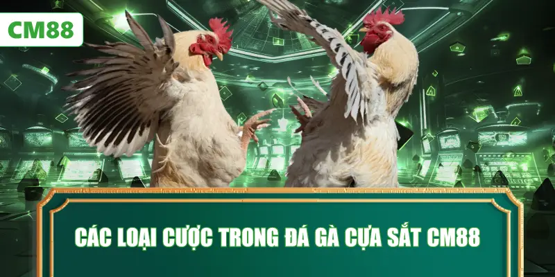 Các Loại Cược Trong Đá Gà Cựa Sắt CM88