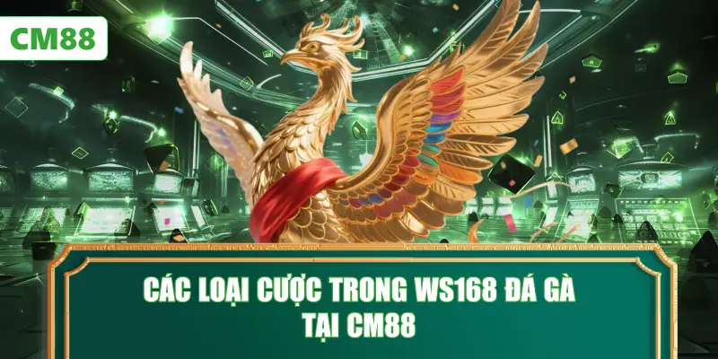 Các Loại Cược Trong WS168 Đá Gà Tại CM88