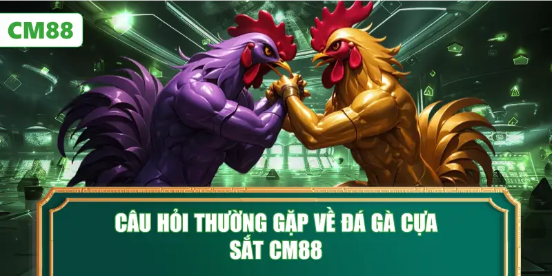 Câu Hỏi Thường Gặp Về Đá Gà Cựa Sắt CM88