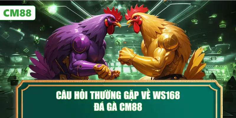 Câu Hỏi Thường Gặp Về WS168 Đá Gà CM88