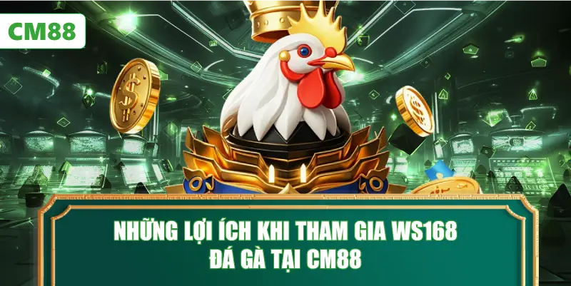 Những Lợi Ích Khi Tham Gia WS168 Đá Gà Tại CM88