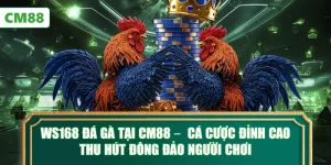 WS168 Đá Gà Tại CM88 – Cá Cược Đỉnh Cao Thu Hút Đông Đảo Người Chơi